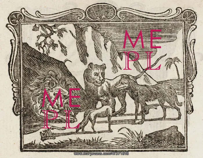 : The Lion, Wolf and Fox : The Lion, Wolf and Fox