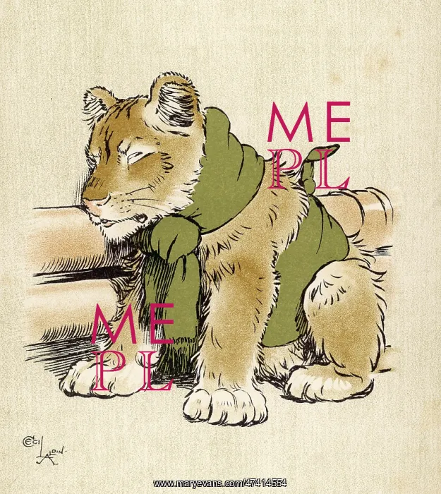 : Lioness Cub in Scarf : Lioness Cub in Scarf