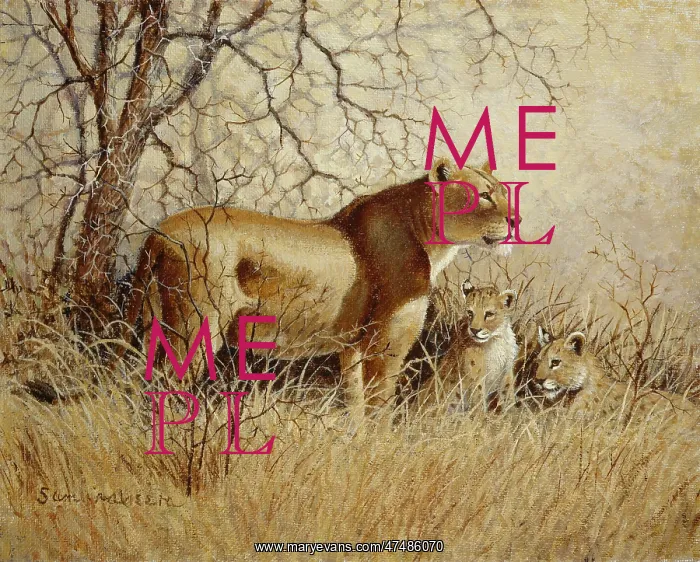 : Lioness and two cubs : Lioness and two cubs