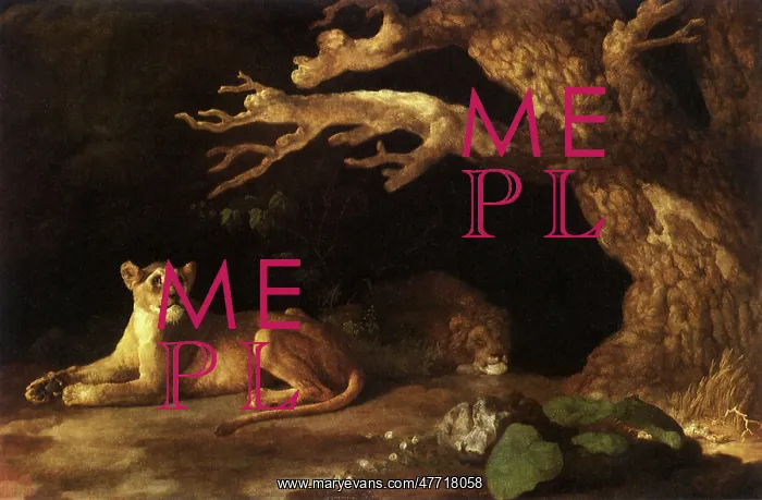 : Lioness, Lion in Cave, by Stubbs