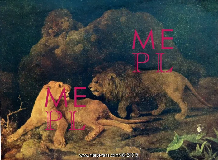 : Lioness and Lions : Lioness and Lions