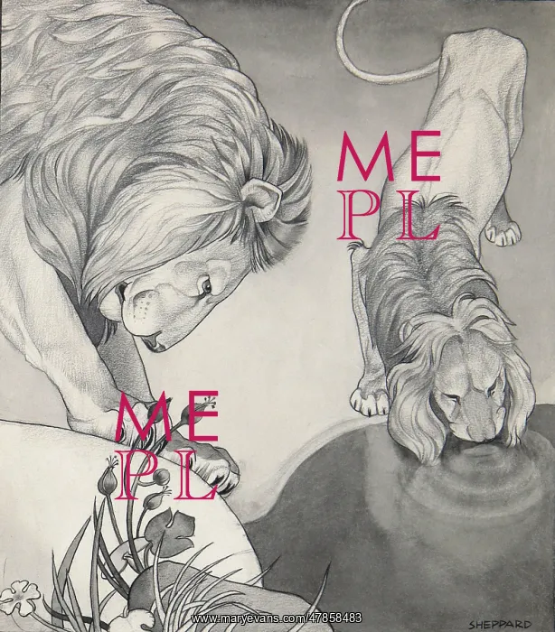 : Lions drinking from a still pool : Lions drinking from a still pool