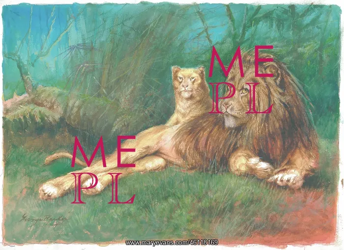  : Lions by George Rankin