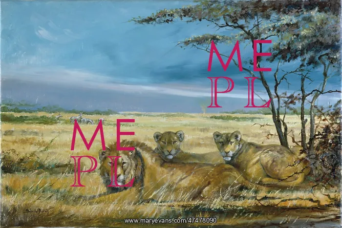 : Lions at Rest ' lion and two lionesses : Lions at Rest ' lion and two lionesses
