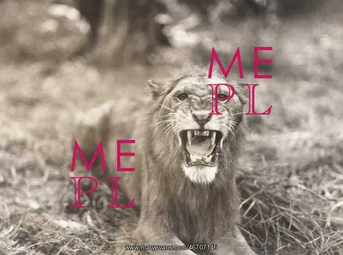  : Lion's roar