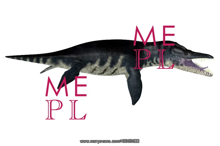 : Liopleurodon aquatic reptile, side view on white background : Liopleurodon aquatic reptile, side view on white background