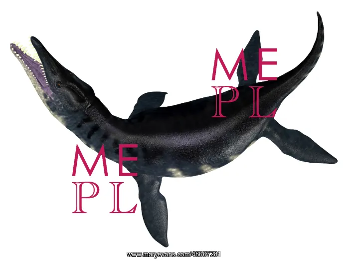 : Liopleurodon aquatic reptile, side view on white background : Liopleurodon aquatic reptile, side view on white background