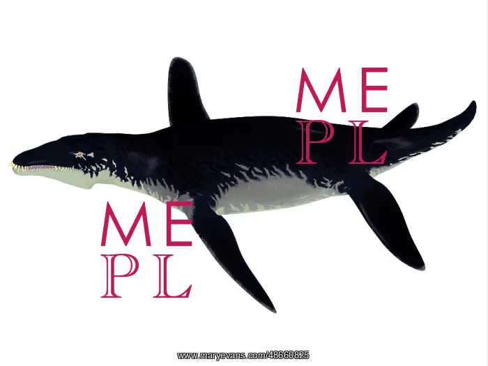 : Liopleurodon reptile, side view : Liopleurodon reptile, side view
