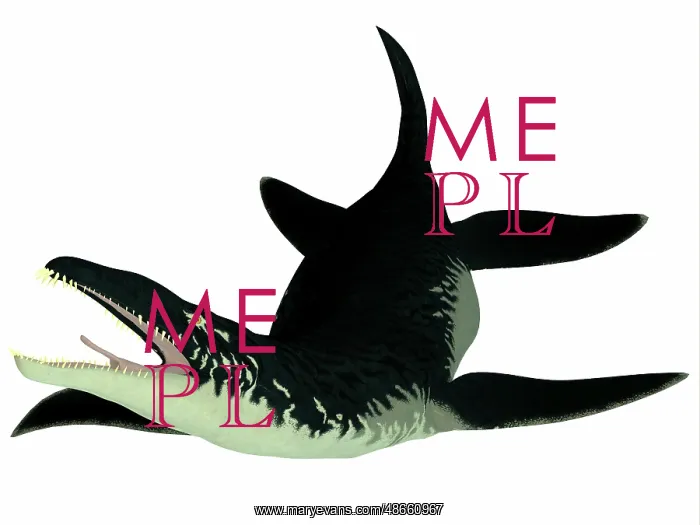 : Liopleurodon reptile on white background : Liopleurodon reptile on white background