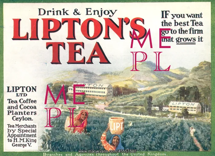: Lipton's Tea Advertisement : Lipton's Tea Advertisement