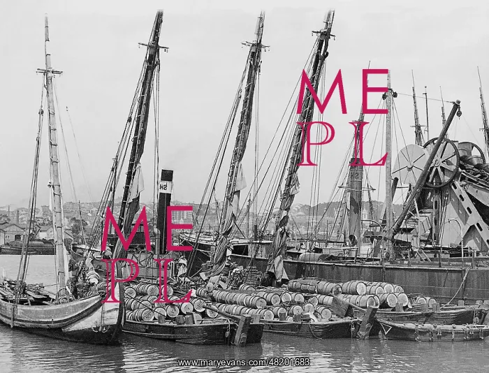 : Lisbon harbor, 1943 : Lisbon harbor, 1943