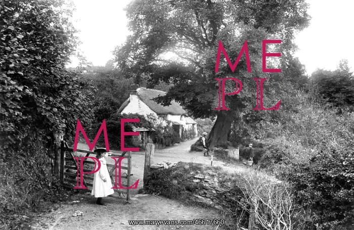  : Liskeard, St Keyne's Well 1906