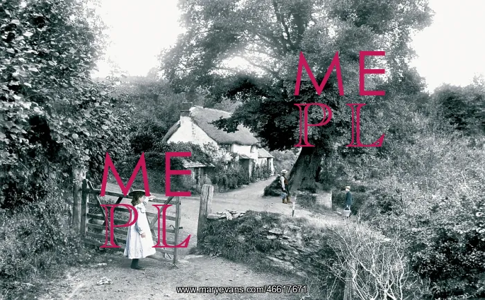  : Liskeard, St Keyne's Well 1906