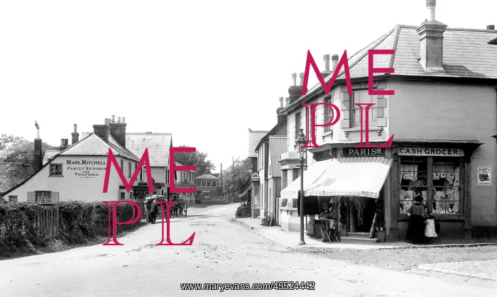  : Liss, Station Road 1901
