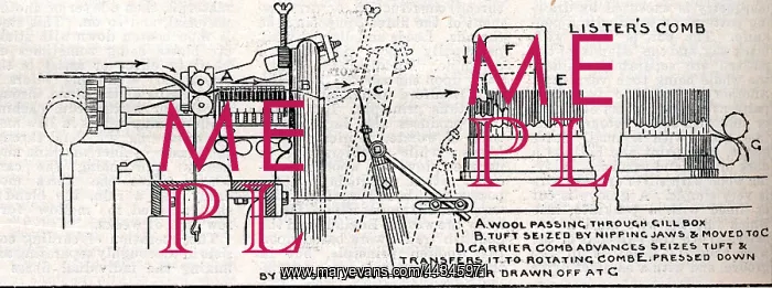  : Listers Comb