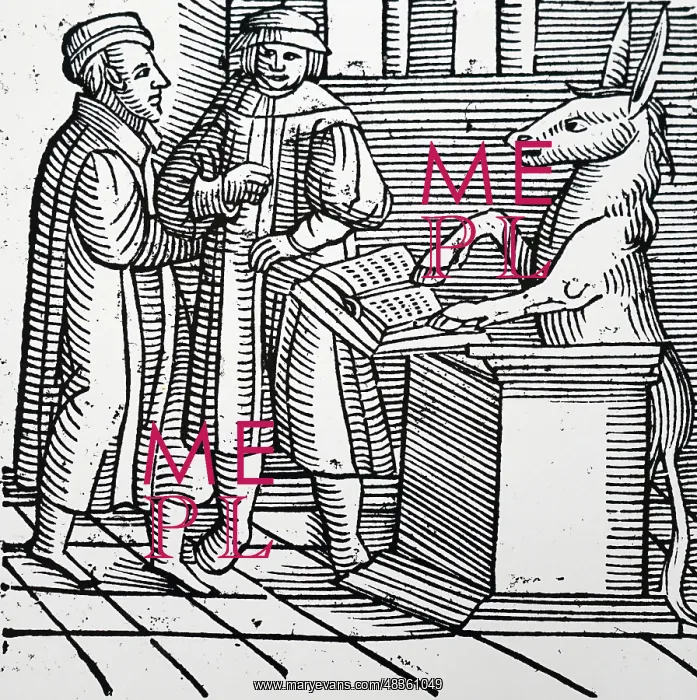 : A literate ass, AD 299 : A literate ass, AD 299