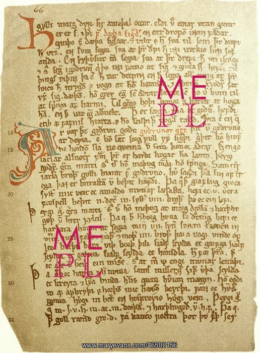 : literature, documents, illuminated manuscript : literature, documents, illuminated manuscript