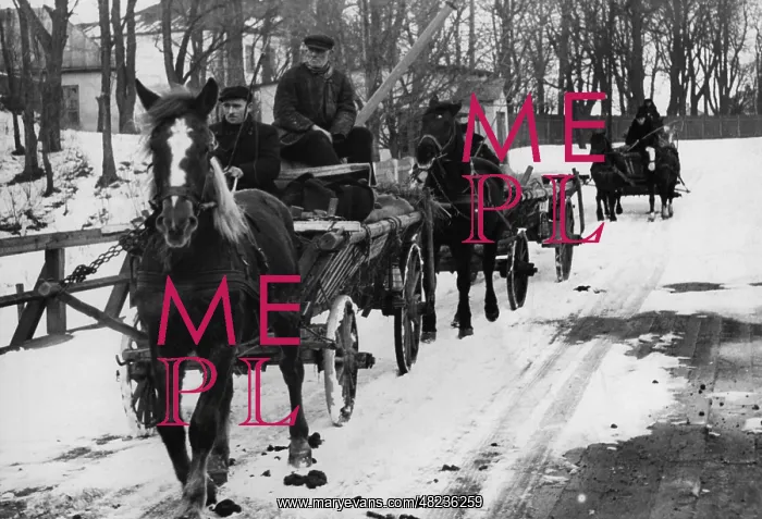 : Lithuania Germans at the border, 1941 : Lithuania Germans at the border, 1941