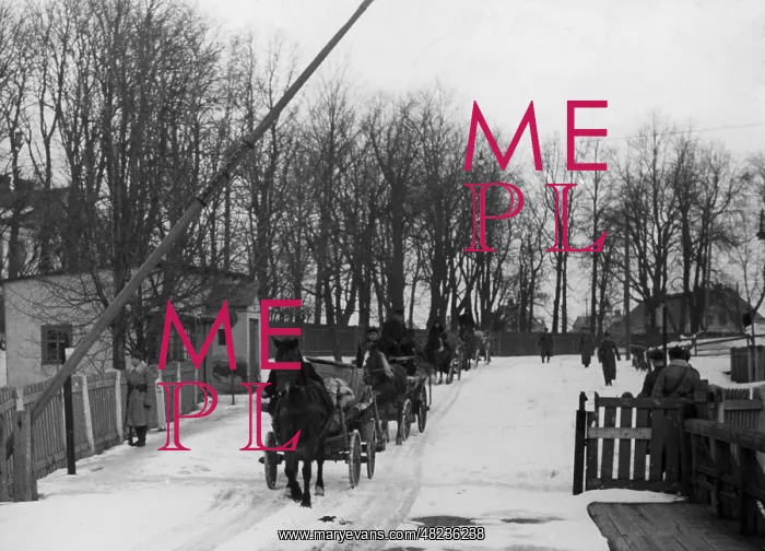 : Lithuania Germans at the border at Eydtkau, 1941 : Lithuania Germans at the border at Eydtkau, 1941