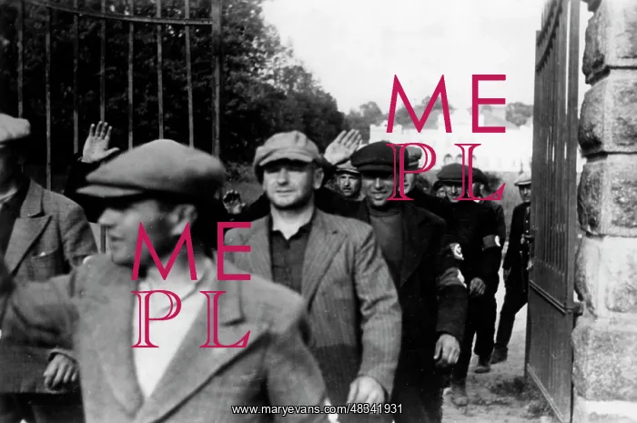 : Lithuanian militia, 1941 : Lithuanian militia, 1941