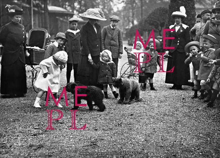 : Little bear in the zoo of Rotterdam, 1913 : Little bear in the zoo of Rotterdam, 1913