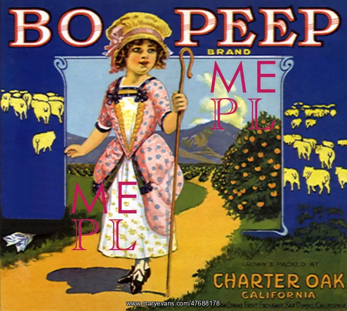 : Little Bo Peep Brand