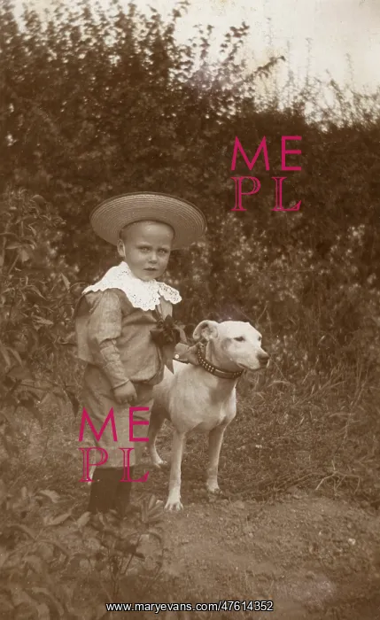 : Little boy with a bull terrier in a garden : Little boy with a bull terrier in a garden