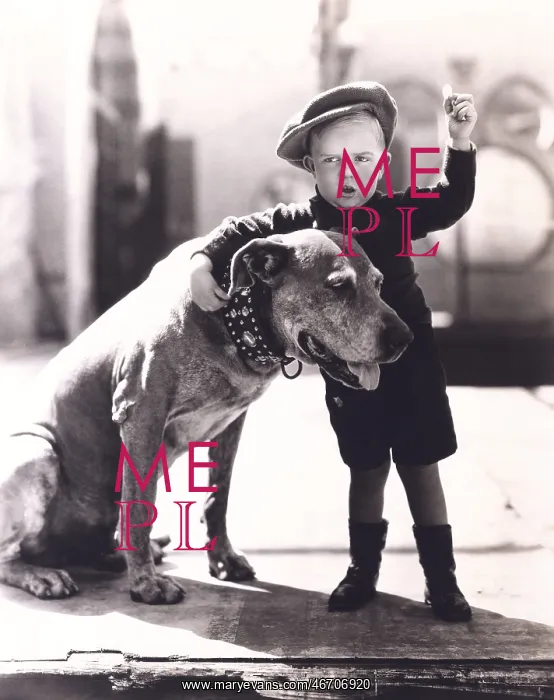  : Little boy and his dog