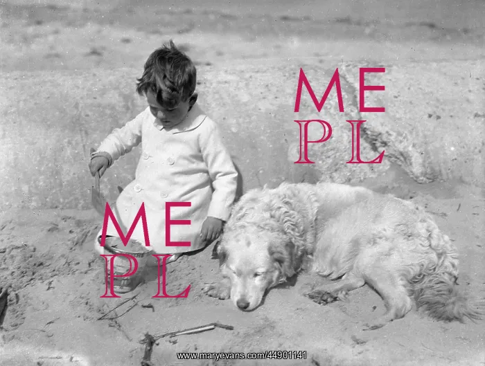 : Little boy and his dog on a sandy beach : Little boy and his dog on a sandy beach