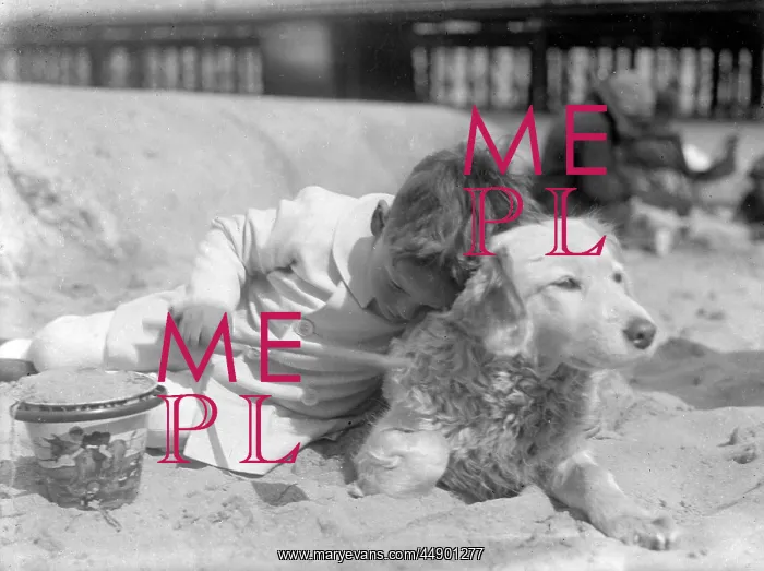 : Little boy and his dog on a sandy beach : Little boy and his dog on a sandy beach