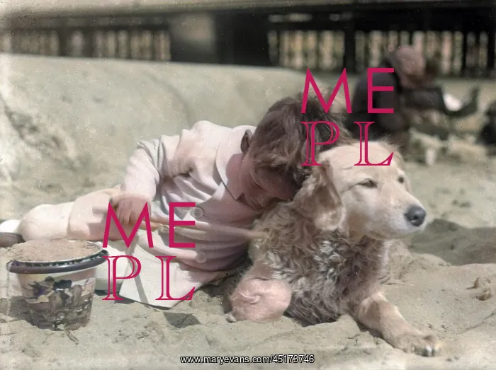 : Little boy and his dog on a sandy beach : Little boy and his dog on a sandy beach