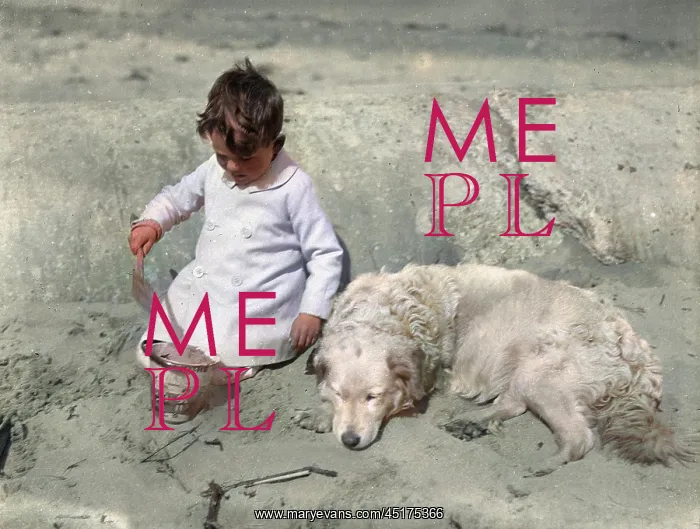 : Little boy and his dog on a sandy beach : Little boy and his dog on a sandy beach