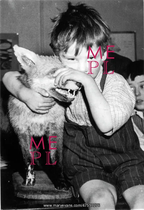  : Little boy with fox, c.1950