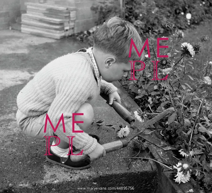 : Little boy with garden shears : Little boy with garden shears
