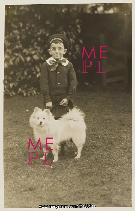 : Little Boy and Pet Dog : Little Boy and Pet Dog