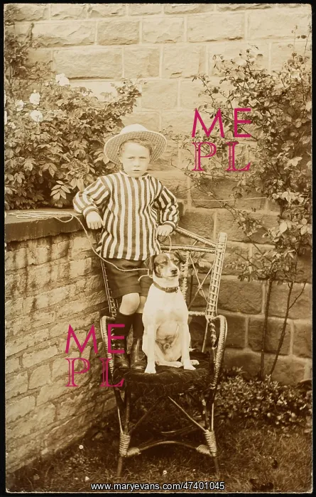 : LITTLE BOY AND PET DOG : LITTLE BOY AND PET DOG
