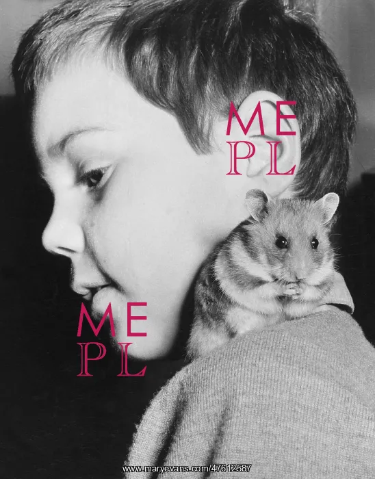 : Little boy with pet hamster on his shoulder : Little boy with pet hamster on his shoulder