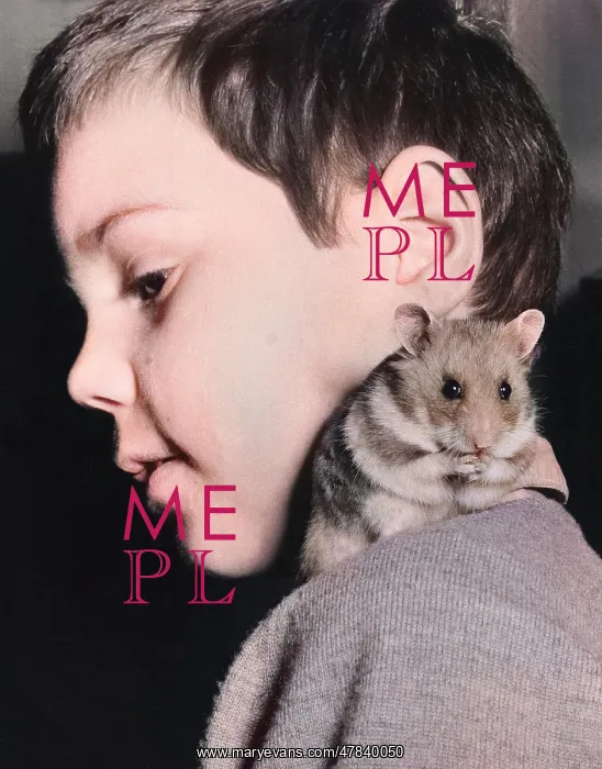 : Little boy with pet hamster on his shoulder : Little boy with pet hamster on his shoulder