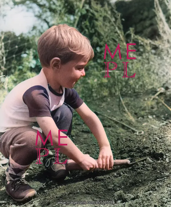 : Little boy playing in a garden : Little boy playing in a garden