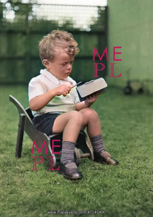 : Little boy sitting in a wheelbarrow : Little boy sitting in a wheelbarrow