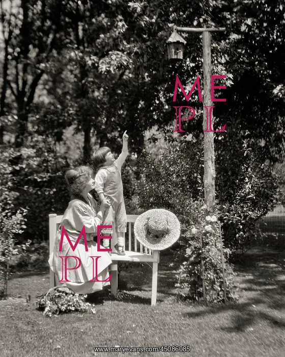 : Little Boy Standing on Bench Pointing to a Birdhouse : Little Boy Standing on Bench Pointing to a Birdhouse