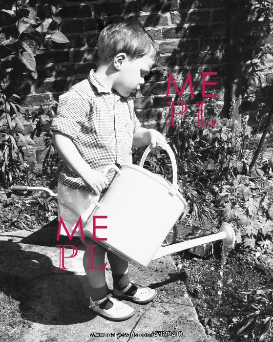 : Little boy watering the garden : Little boy watering the garden