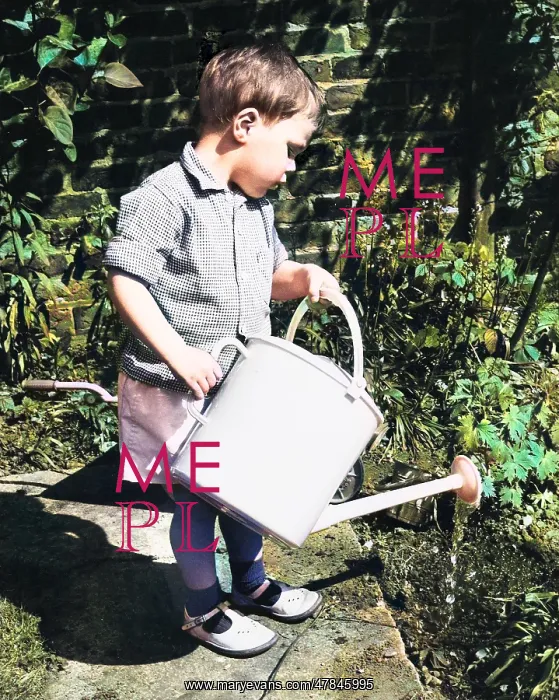 : Little boy watering the garden : Little boy watering the garden