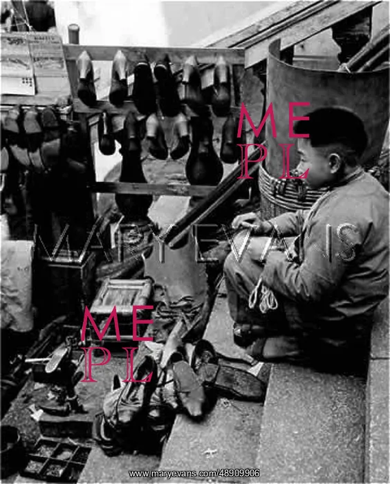 : LITTLE CHINESE COBBLER : LITTLE CHINESE COBBLER