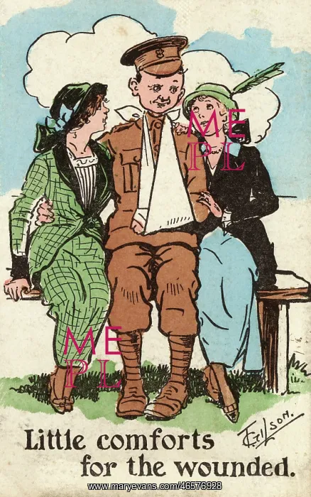 : Little Comforts for the Wounded : Little Comforts for the Wounded