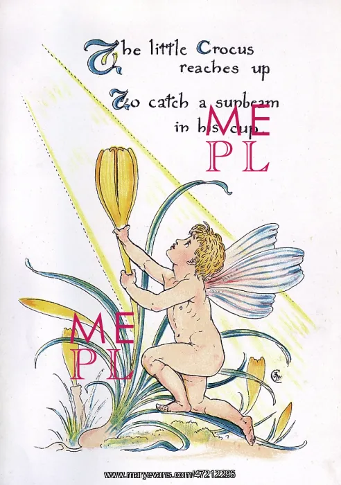 : The little Crocus reaches up : The little Crocus reaches up