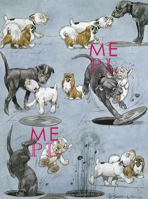 : Little Dogs Win : Little Dogs Win