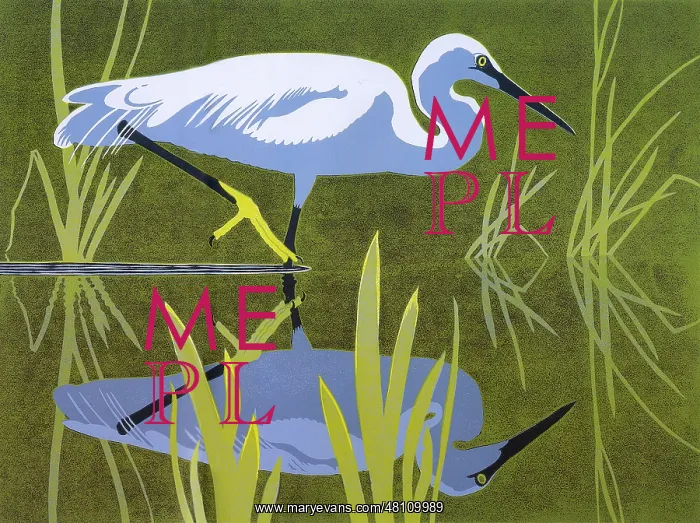 : Little Egret by Robert Gillmor : Little Egret by Robert Gillmor