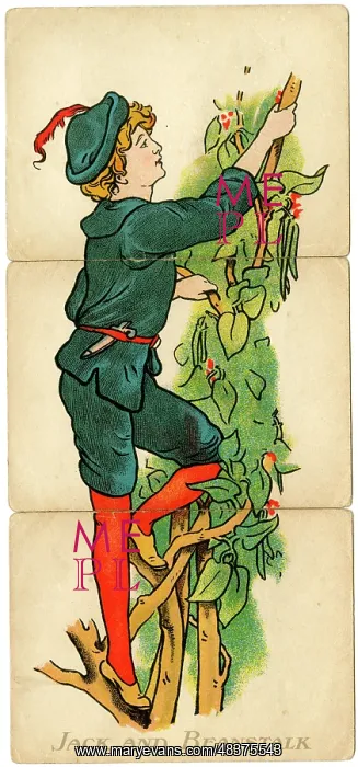 : Little Folk Misfitz - Jack and Beanstalk : Little Folk Misfitz - Jack and Beanstalk