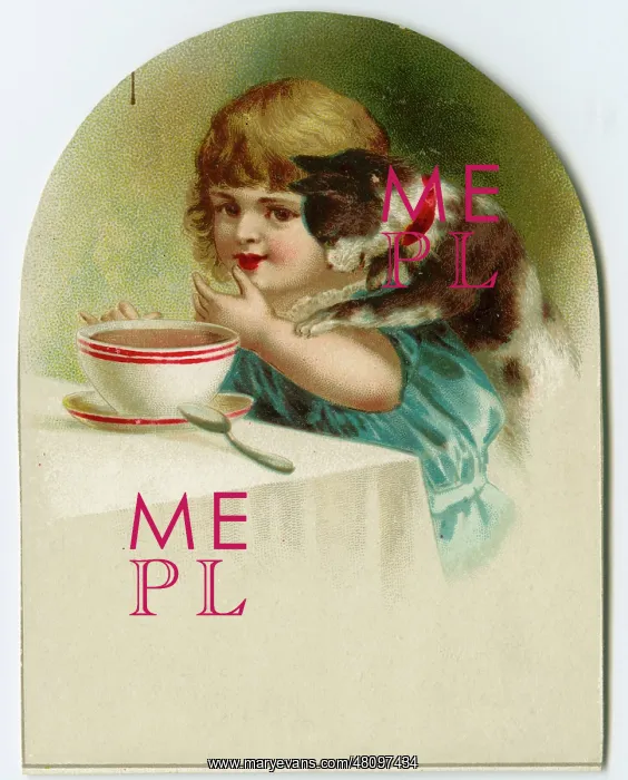  : Little girl and cat at a table
